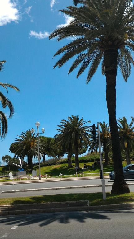 Ferber Nizza